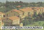 The green souroundings of Welkom